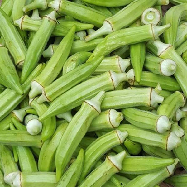 Đậu bắp